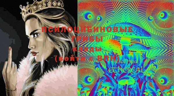 шишки Снежинск