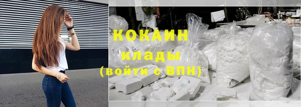 шишки Снежинск