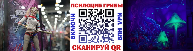 Купить где  Сусуман  Галлюциногенные грибы прущие грибы 