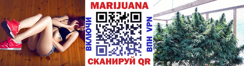 Купить  Сусуман  Конопля Ganja 